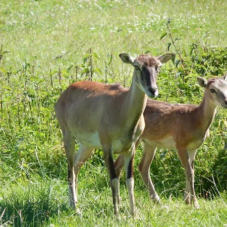 Zur-kleinen-auszeit *